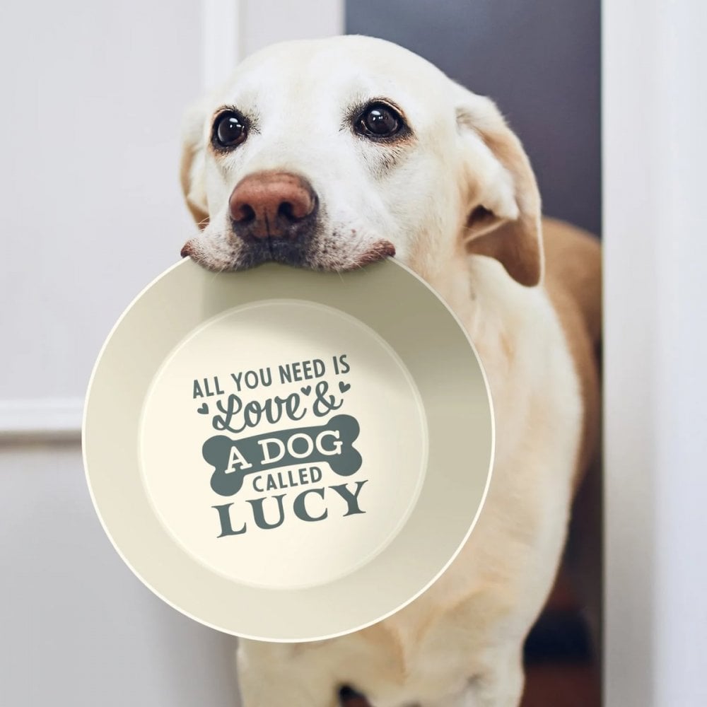 Pet Bowls