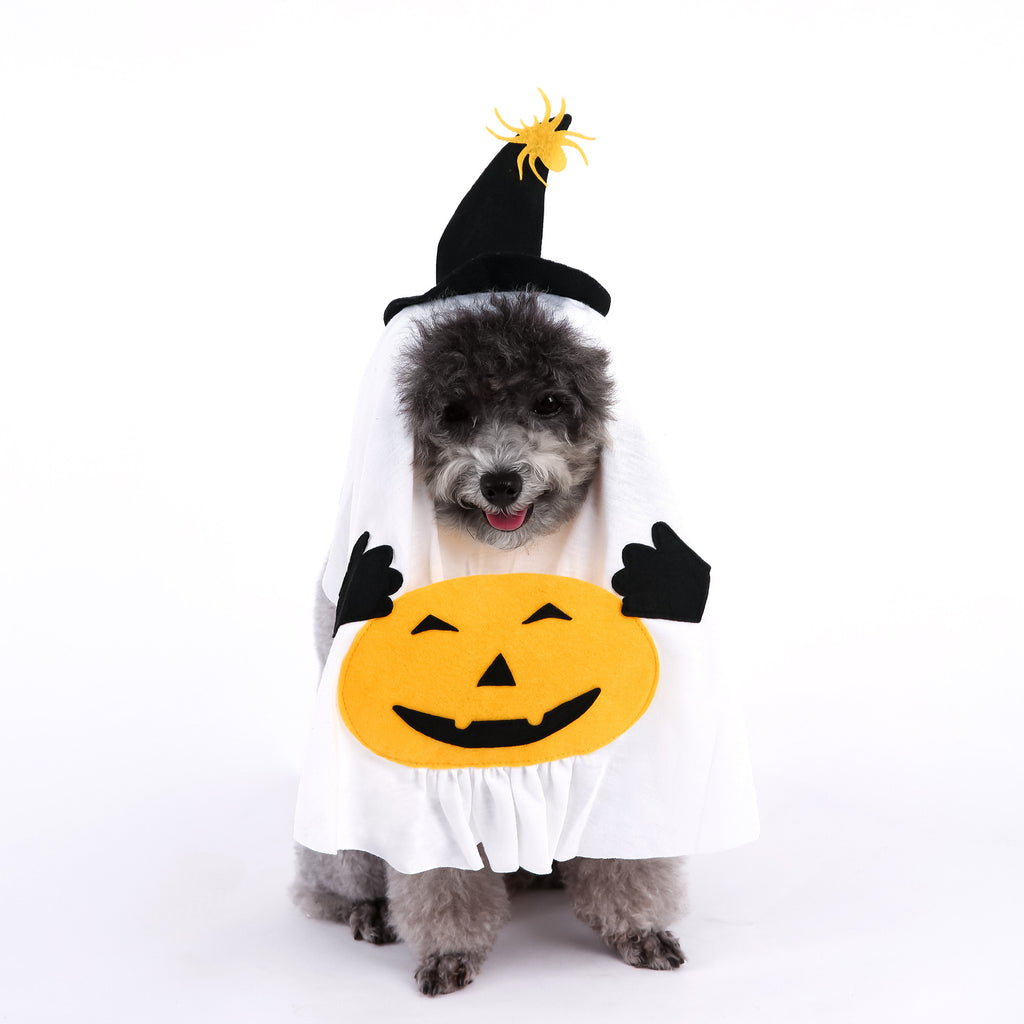 Cute Halloween Pumpkin Wizard Print Pet Costume for Small and Medium Dogs and Cats