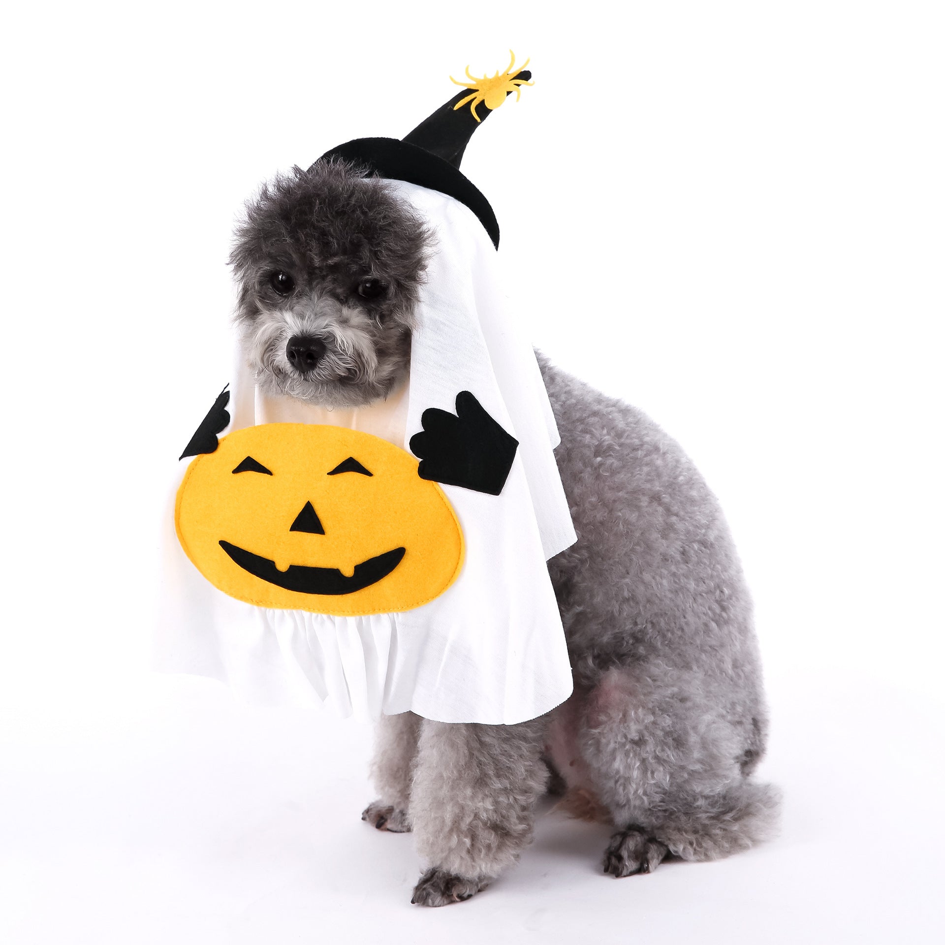 Cute Halloween Pumpkin Wizard Print Pet Costume for Small and Medium Dogs and Cats