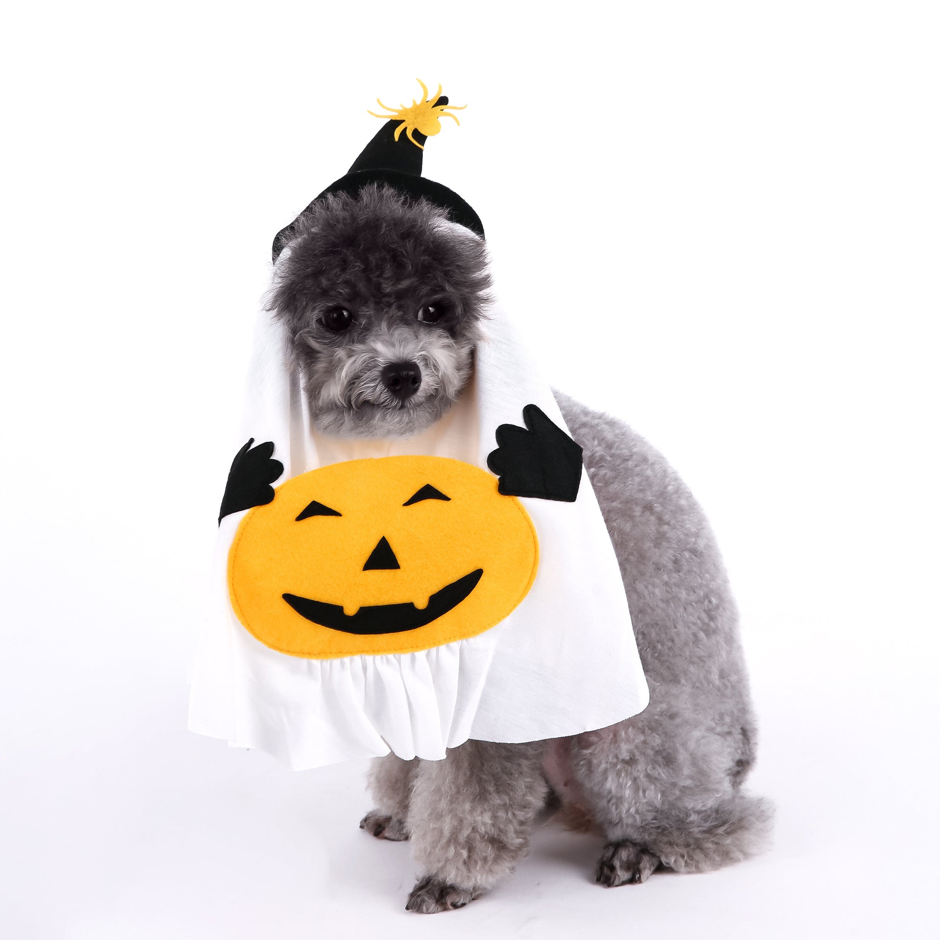 Cute Halloween Pumpkin Wizard Print Pet Costume for Small and Medium Dogs and Cats