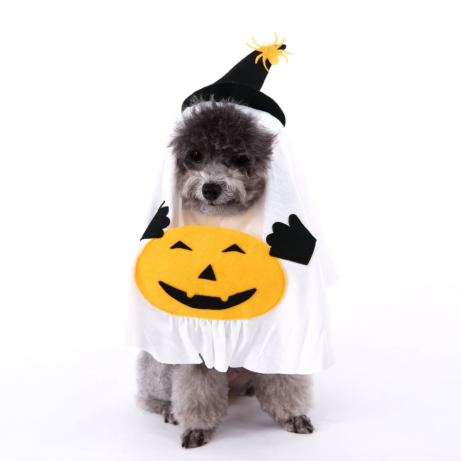 Cute Halloween Pumpkin Wizard Print Pet Costume for Small and Medium Dogs and Cats