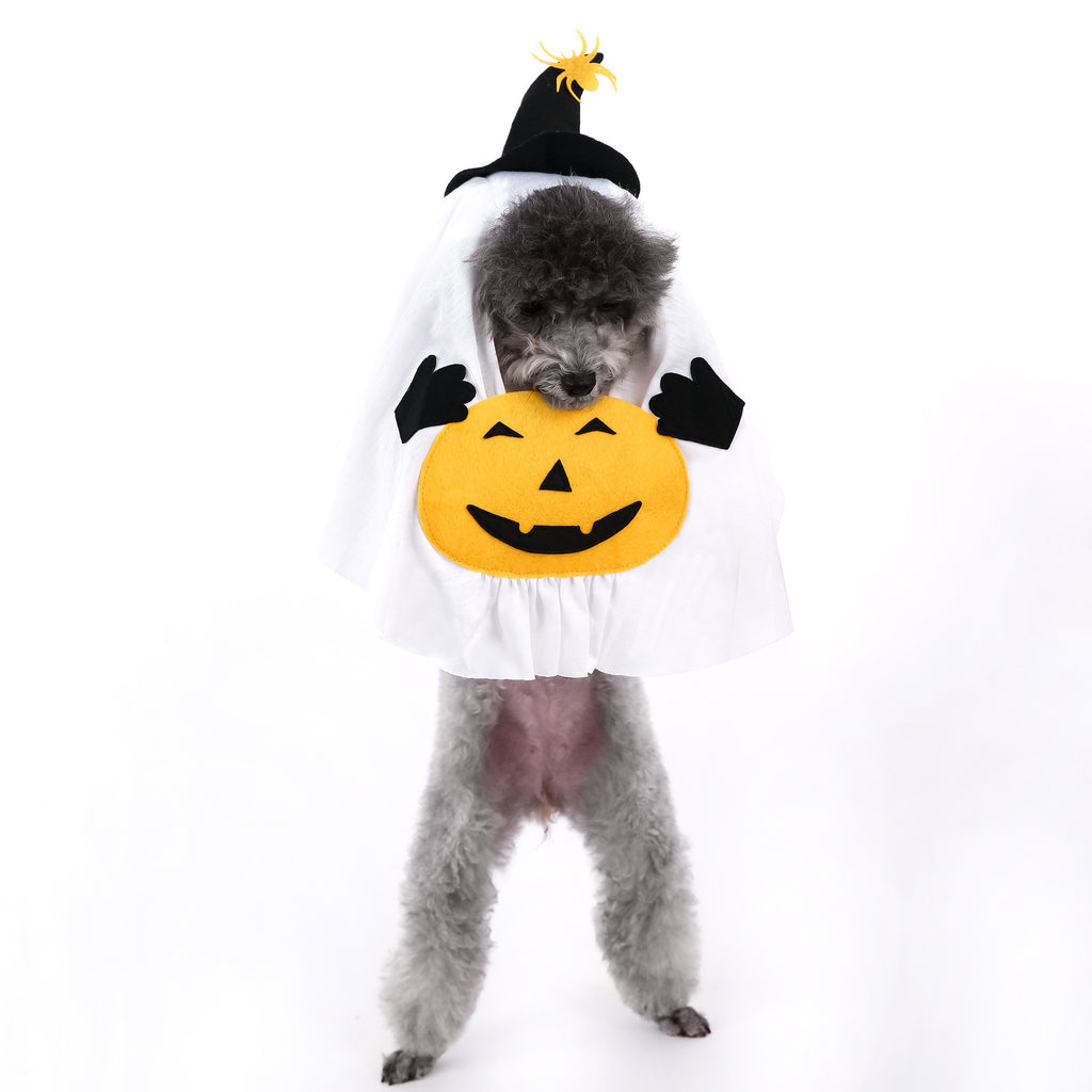 Cute Halloween Pumpkin Wizard Print Pet Costume for Small and Medium Dogs and Cats