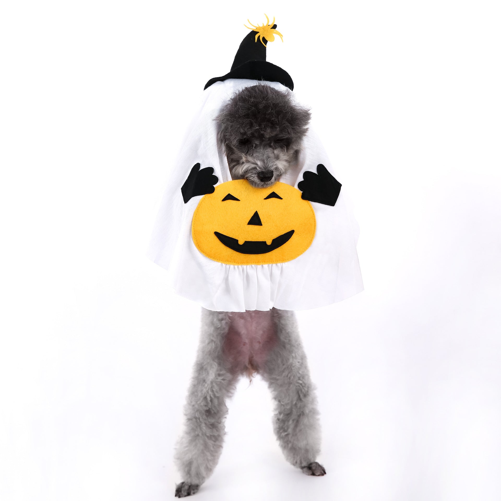 Cute Halloween Pumpkin Wizard Print Pet Costume for Small and Medium Dogs and Cats